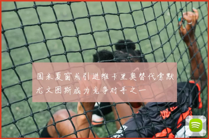 国米夏窗或引进维卡里奥替代索默尤文图斯成为竞争对手之一