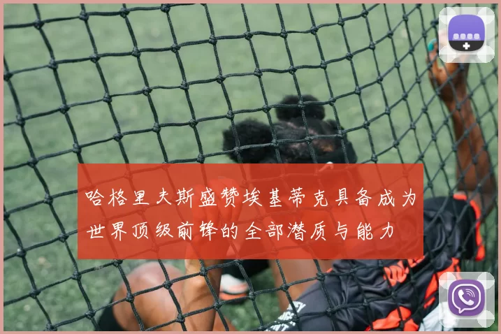 哈格里夫斯盛赞埃基蒂克具备成为世界顶级前锋的全部潜质与能力