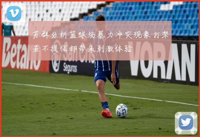 苏群分析篮球场暴力冲突现象打架虽不提倡却带来刺激体验