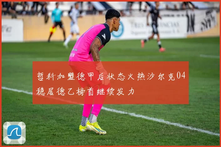 哲科加盟德甲后状态火热沙尔克04稳居德乙榜首继续发力